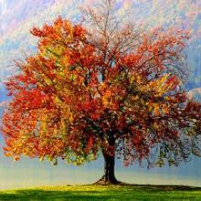 دژ مستحکم دانش - کاری از سارا احمدی