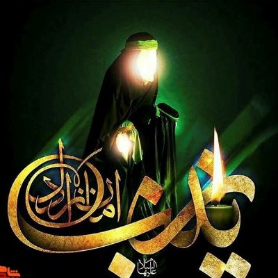 از حضرت زینب سلام الله علیها چه می دانیم؟