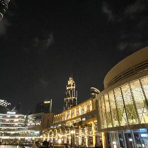 حانیه زینب آبنوس