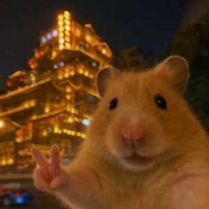 ماندانا بختیاری