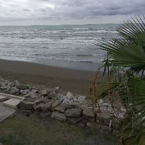 سیده صبا احمدی