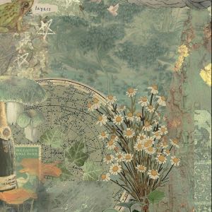 سیده ثنا رفانی